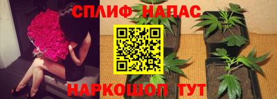 ПСИЛОЦИБИНОВЫЕ ГРИБЫ Баксан