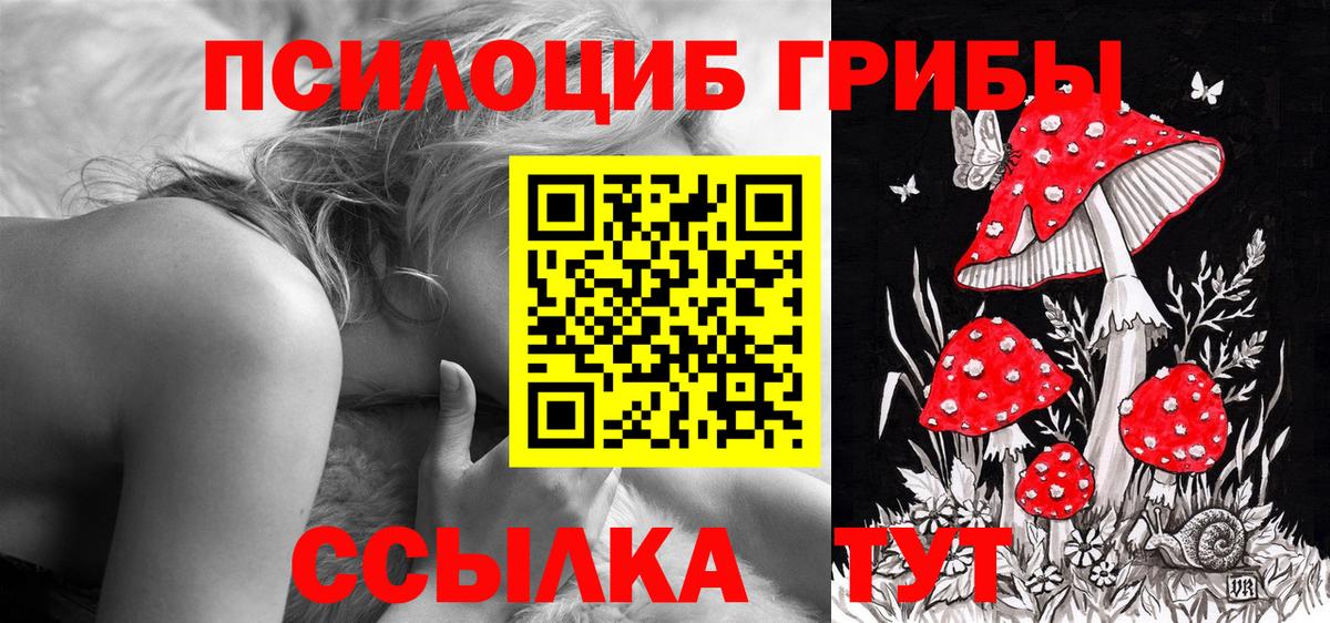 Новотроицк  как найти наркотики  Вход с VPN  Псилоцибиновые грибы ЛСД 